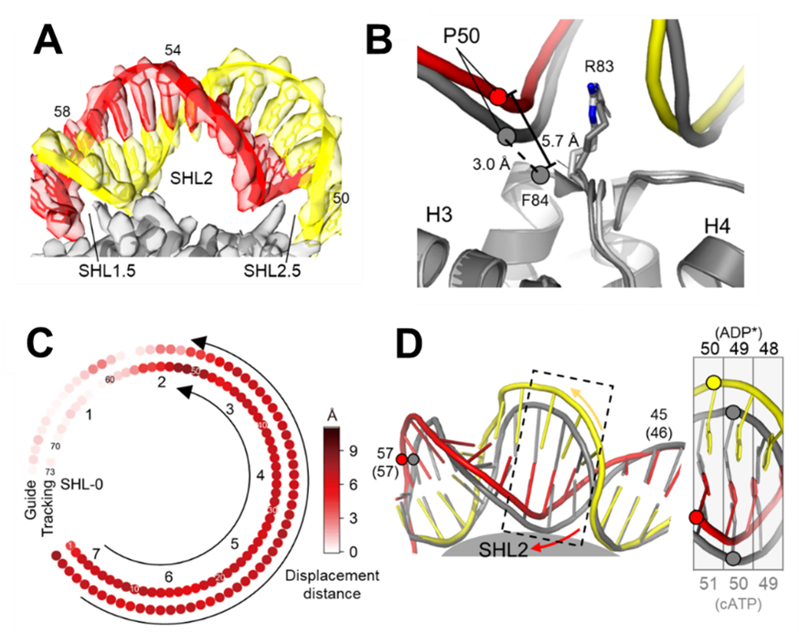 ISWI-fig1.png